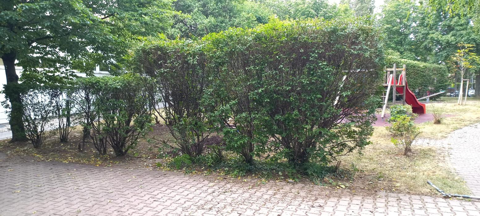 Dani's Clean Service, Ketzergasse in Wien