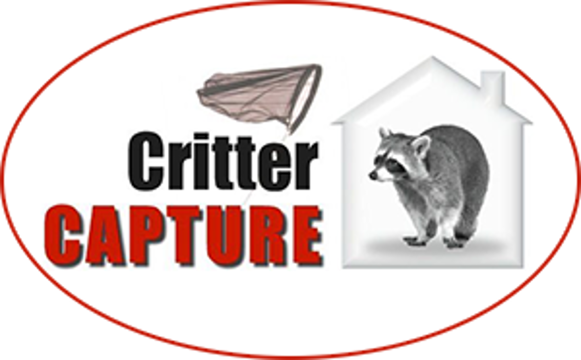 Critter Capture LLC - Flowood, MS