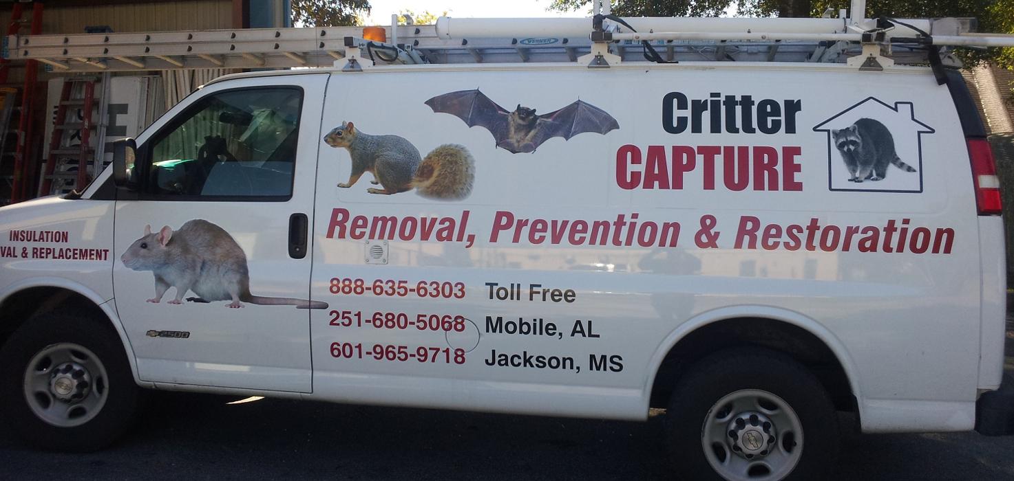 Critter Capture LLC - Flowood, MS