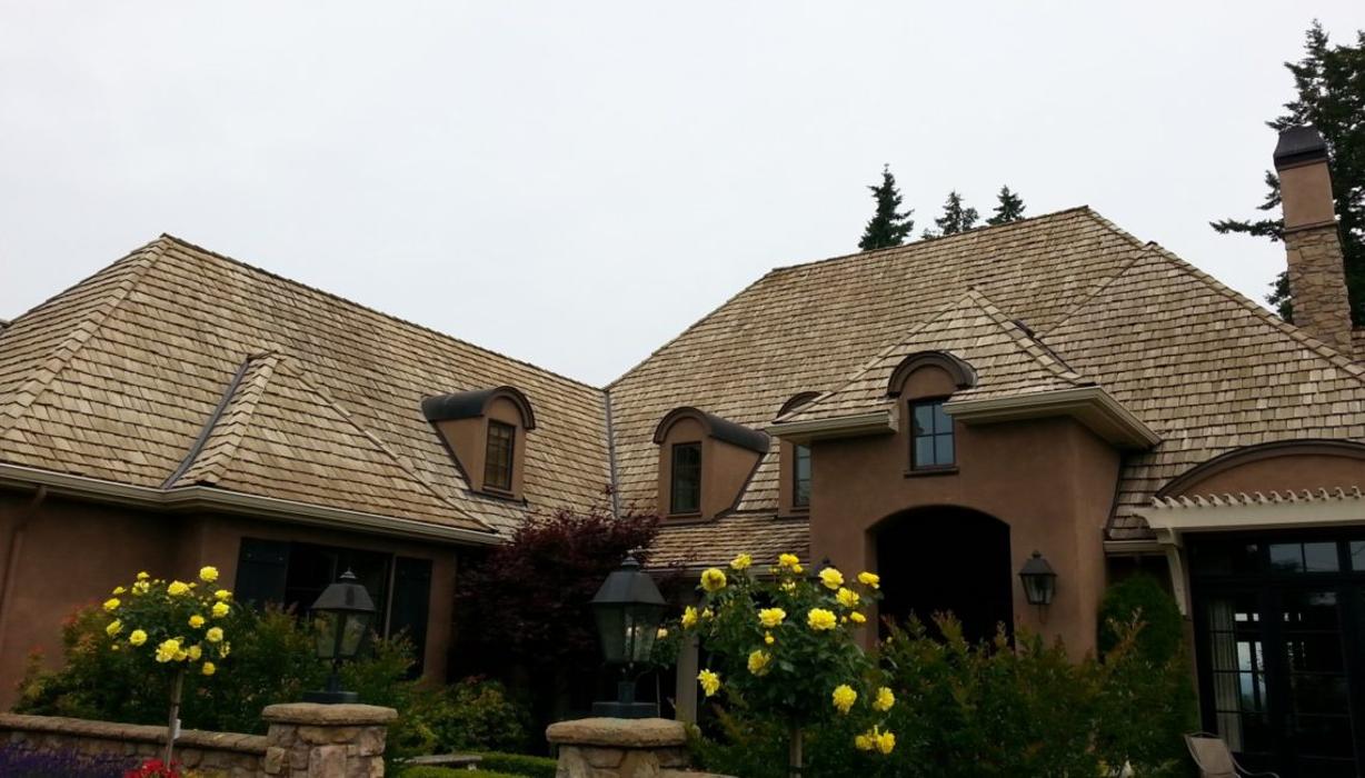 Better Green - Ocala, FL