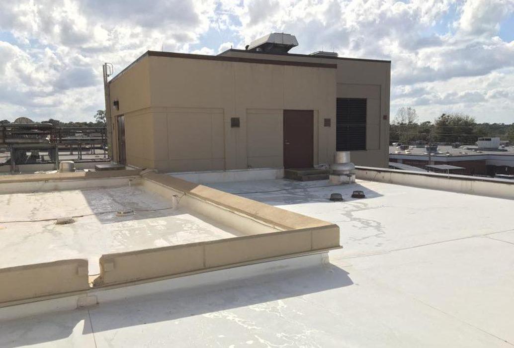 Better Green - Ocala, FL