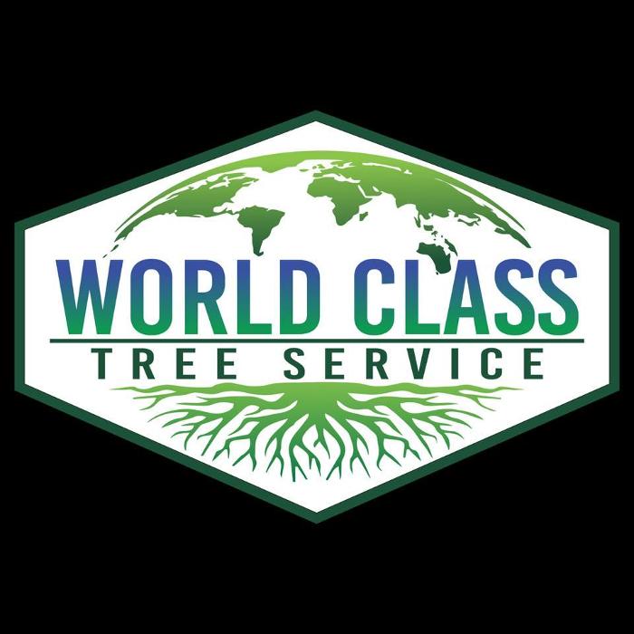 World Class Tree Service - Katy, TX