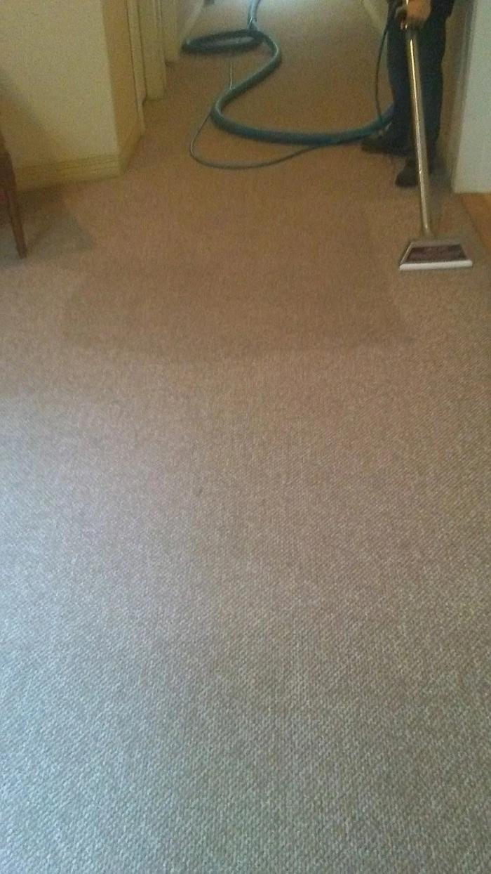 Lady and the Gent Carpet Cleaning LLC - Pullman, WA
