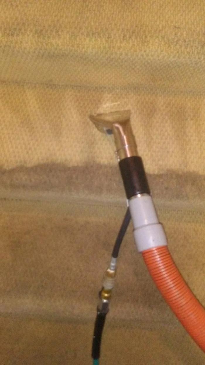 Lady and the Gent Carpet Cleaning LLC - Pullman, WA