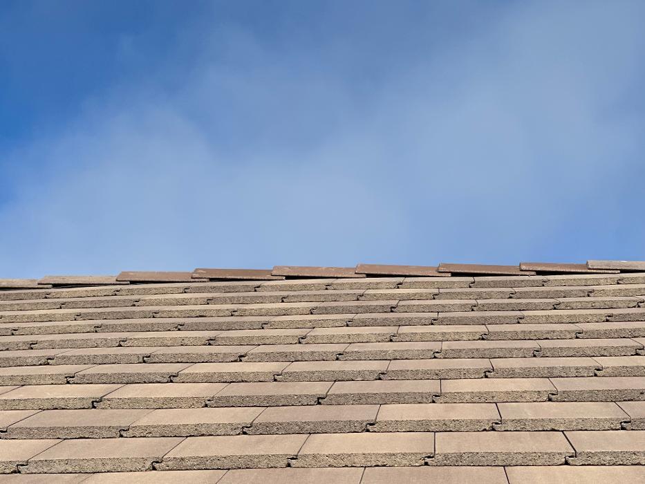 Dragonfly Roofing Company - Westminster, CO