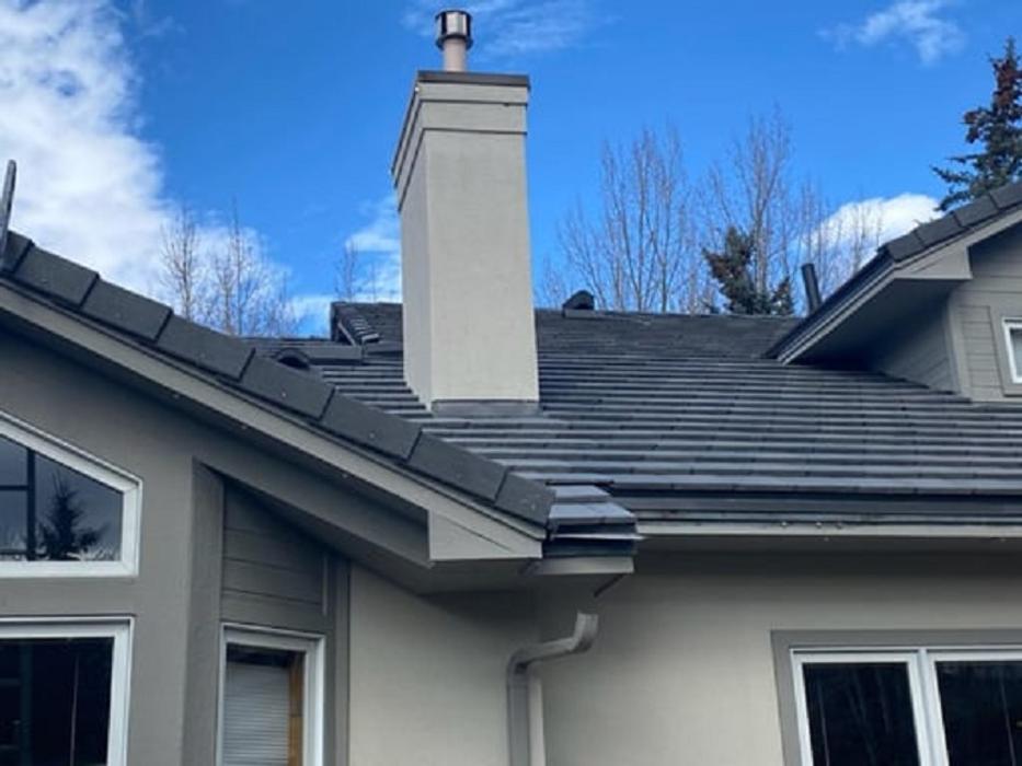 Dragonfly Roofing Company - Westminster, CO