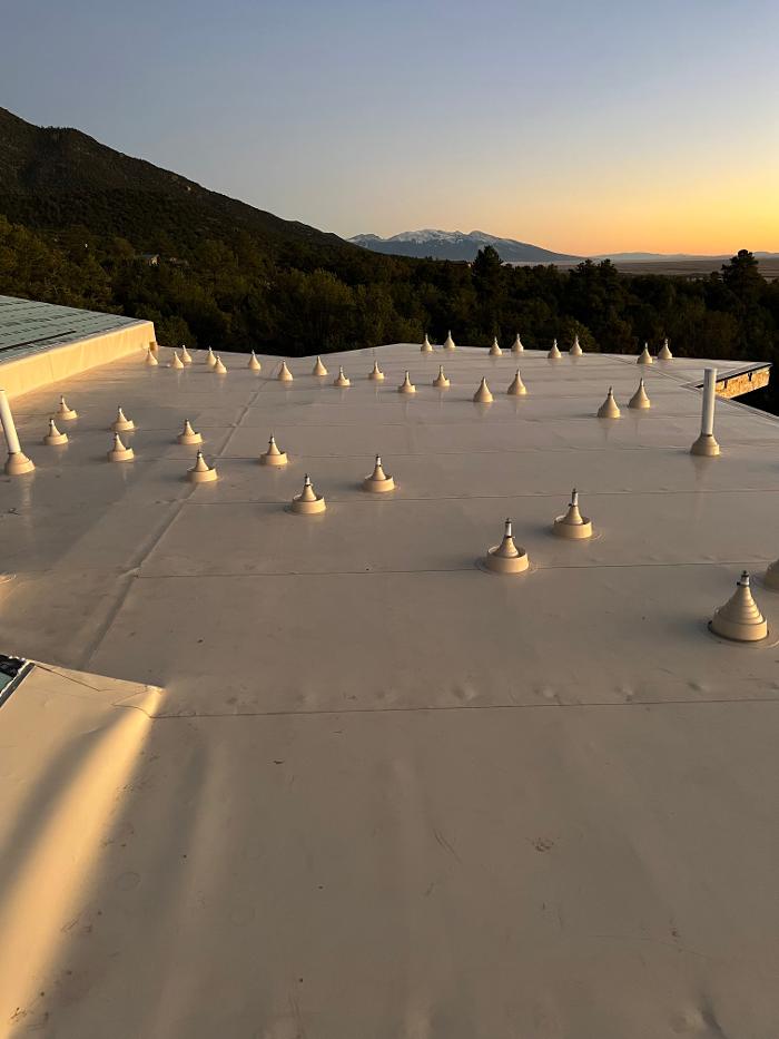 Dragonfly Roofing Company - Westminster, CO