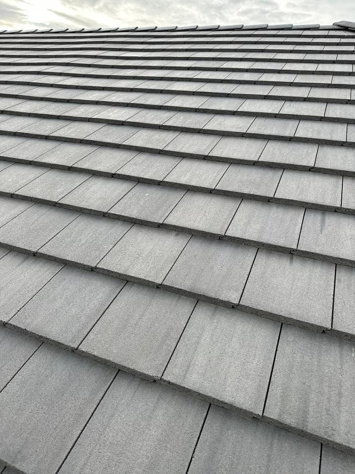 Dragonfly Roofing Company - Westminster, CO