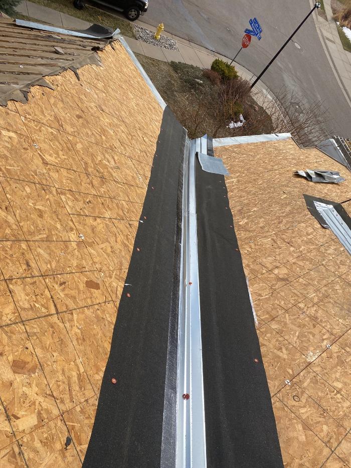 Dragonfly Roofing Company - Westminster, CO