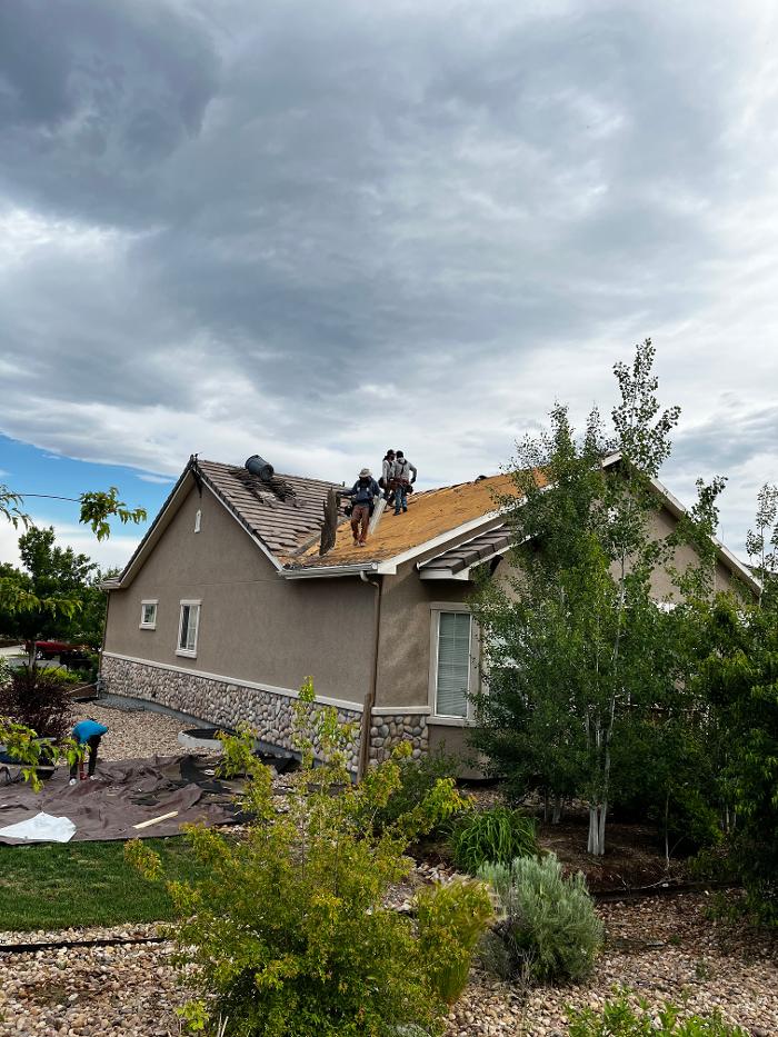Dragonfly Roofing Company - Westminster, CO