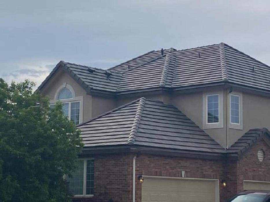Dragonfly Roofing Company - Westminster, CO