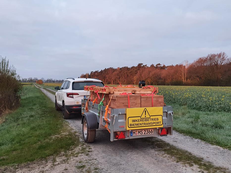 Erlebniswelt Familienimkerei Müller-Meißner das Honigtransportgeschwader 62, Kleine Heide in Wunstorf