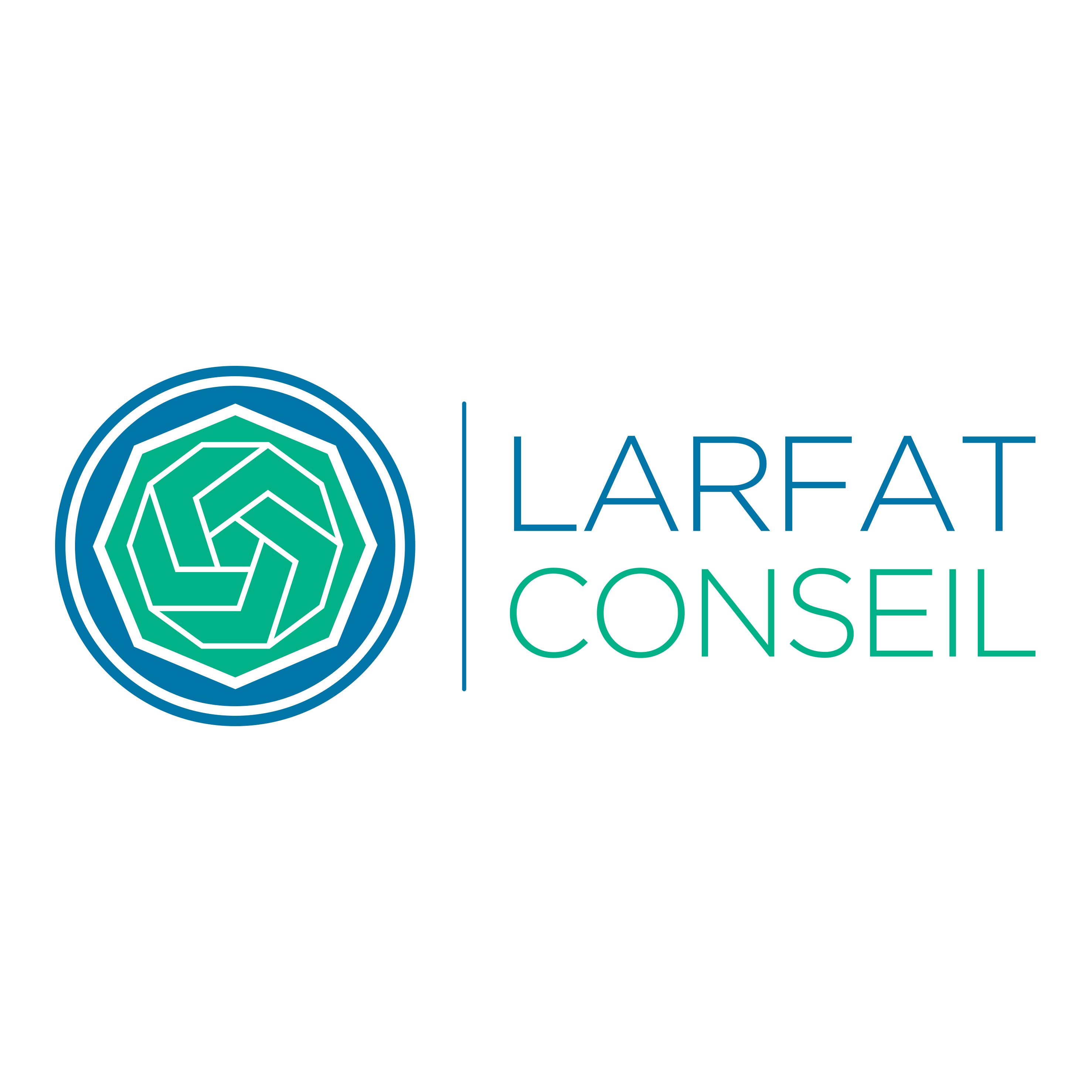 LARFAT-Conseil Expert