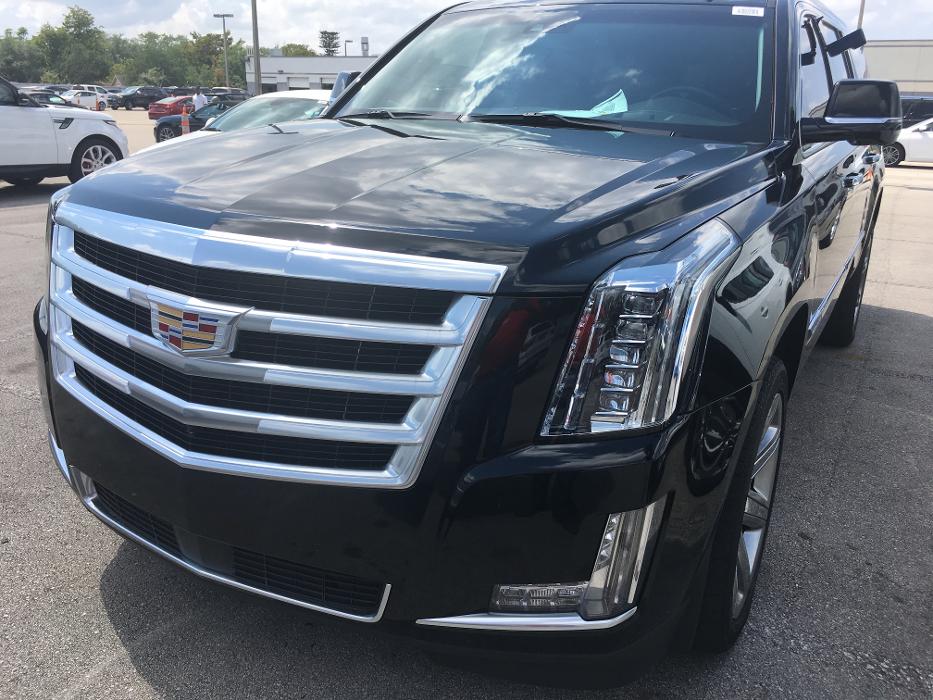 Exotic Bus & Limo - Fort Lauderdale, FL