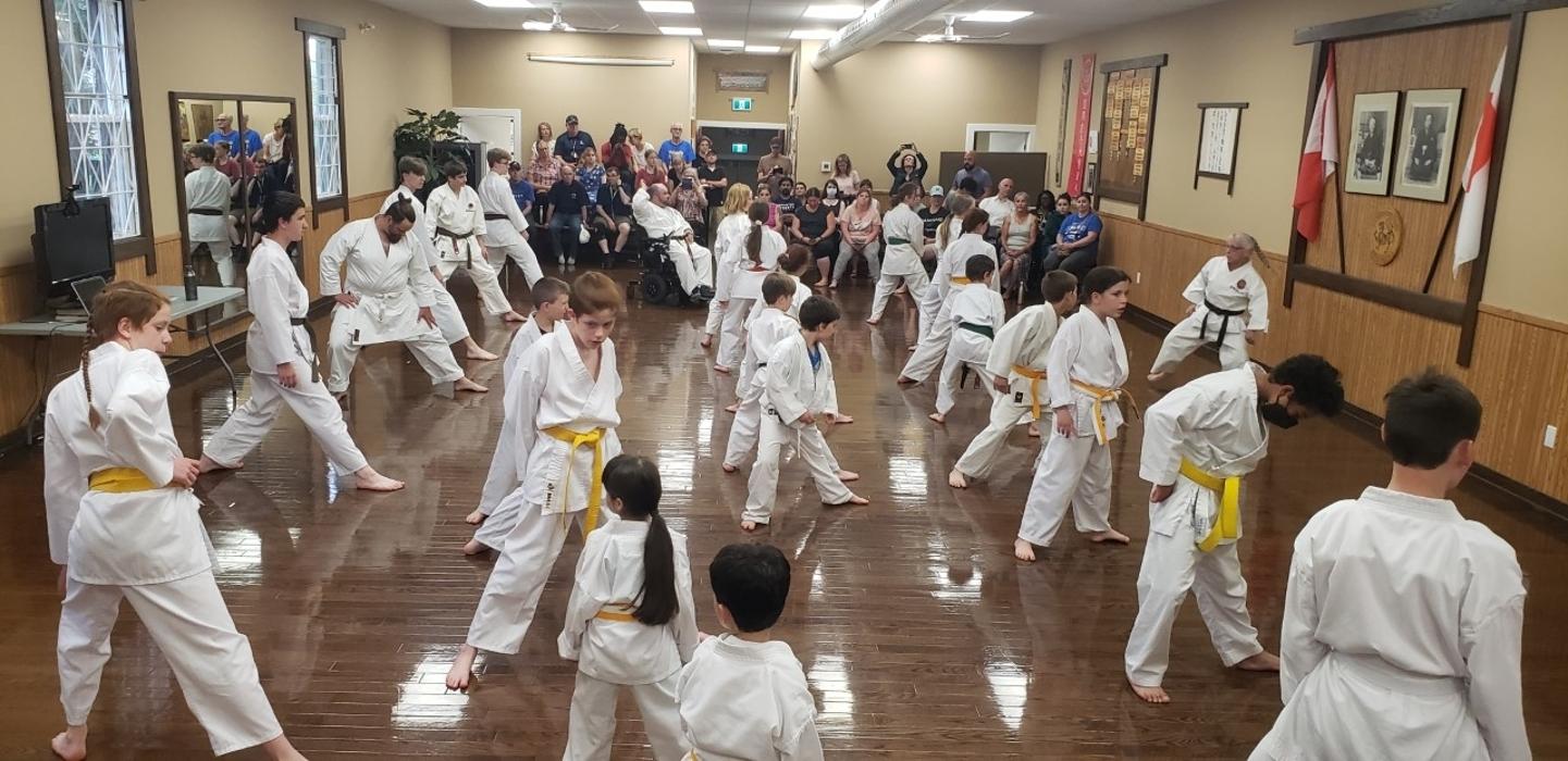 Japan Karate Association