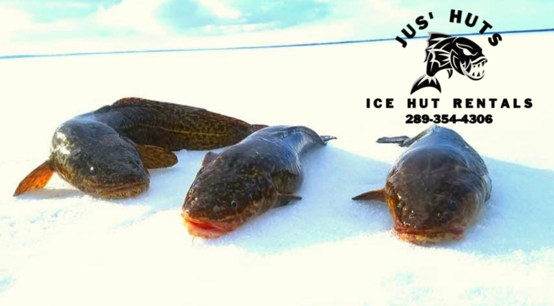 Jus Huts Ice Hut Rentals Inc Travel Agencies in Pefferlaw (address