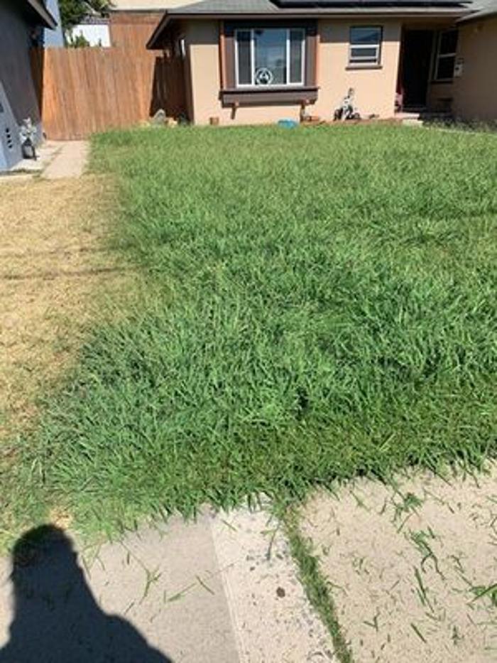 King's Landscaping - San Diego, CA