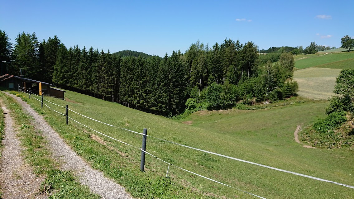 Galerie-Thumbnail