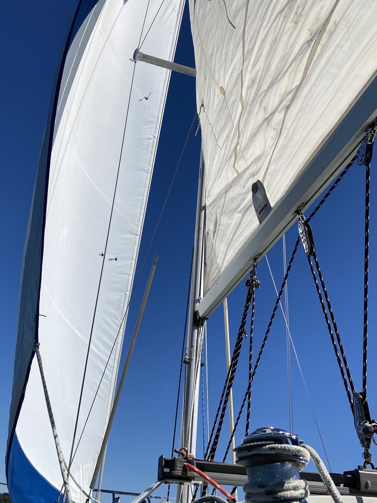 Image 2 | sailATX