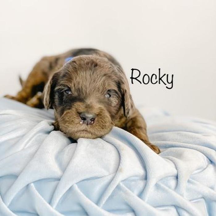 Camp Doodle Woods - Pasco, WA