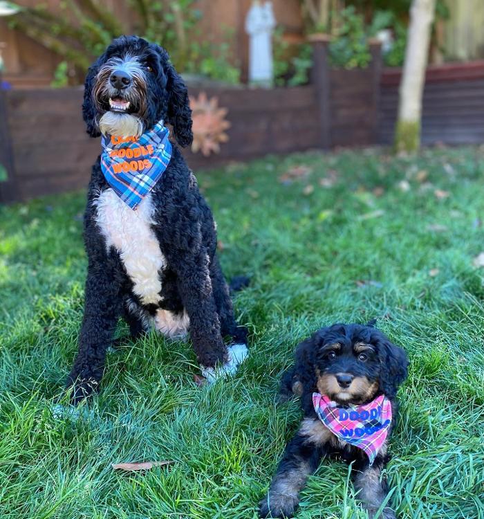 Camp Doodle Woods - Pasco, WA