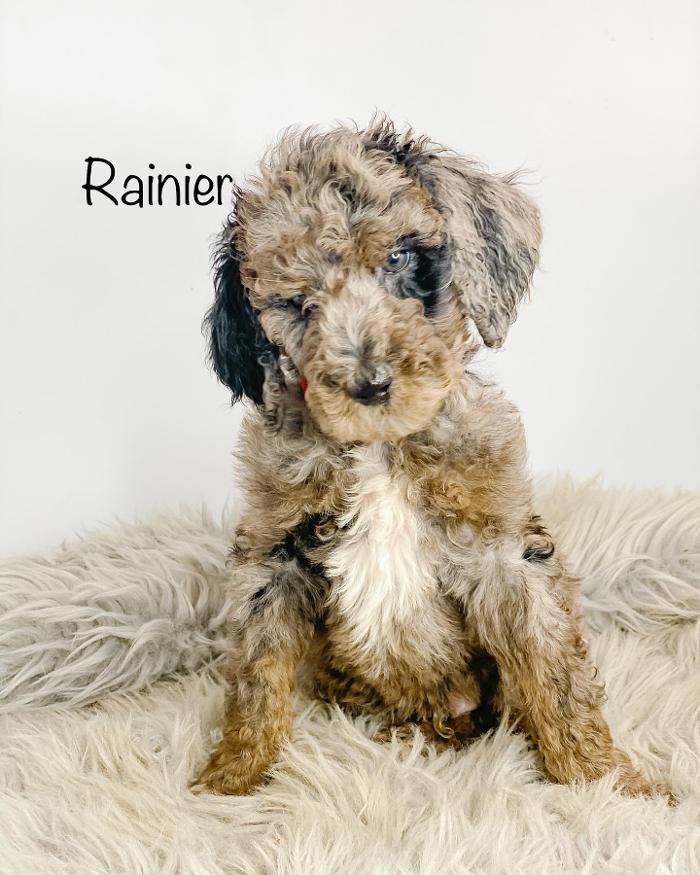 Camp Doodle Woods - Pasco, WA