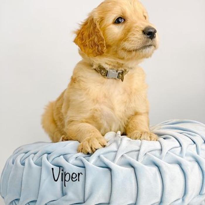 Camp Doodle Woods - Pasco, WA