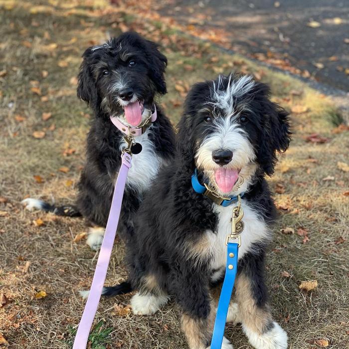 Camp Doodle Woods - Pasco, WA
