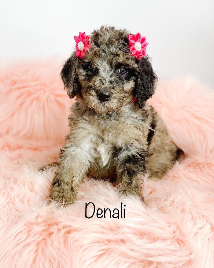 Camp Doodle Woods - Pasco, WA