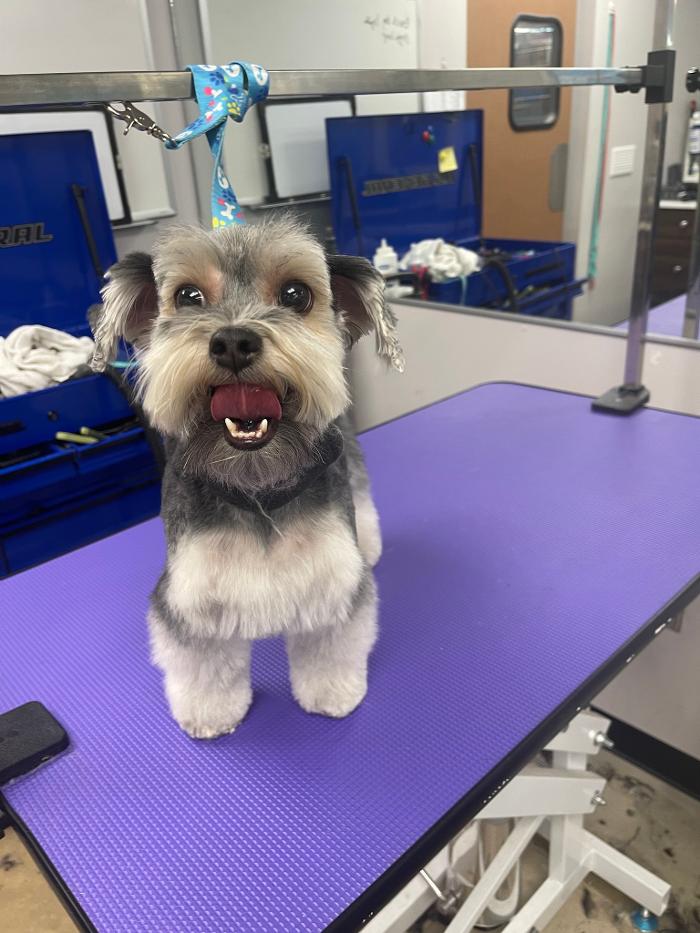 Petsense by Tractor Supply Image