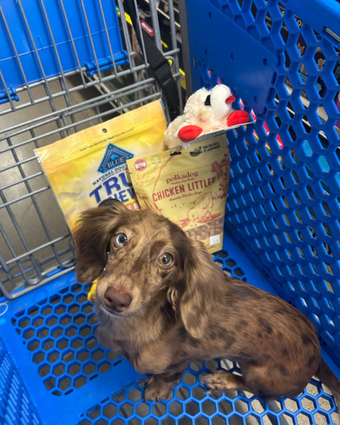 Petsense by Tractor Supply Image