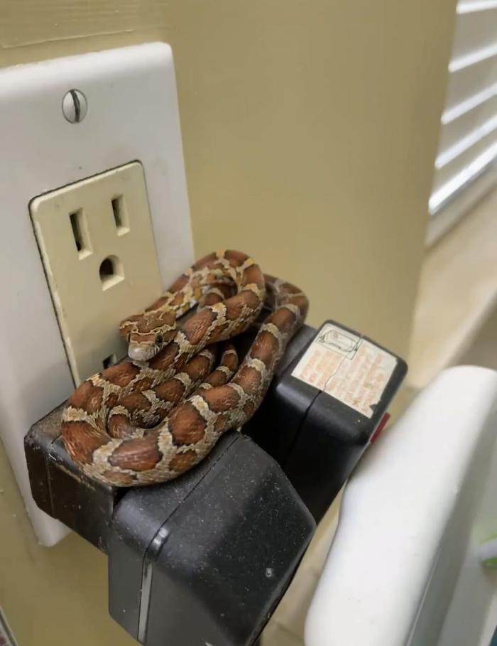 Pest Control Pro - Jupiter, FL