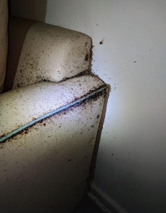 Pest Control Pro - Jupiter, FL