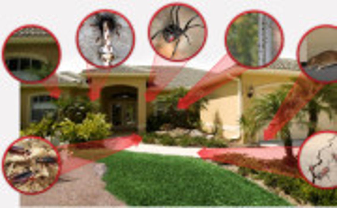 Pest Control Pro - Jupiter, FL