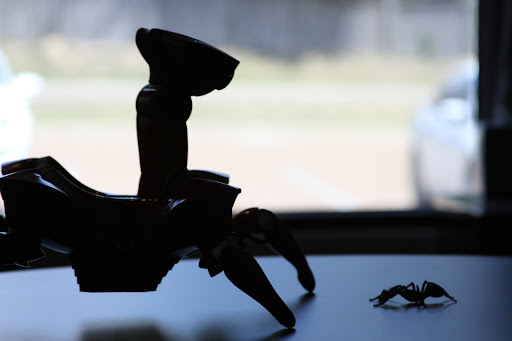 Gallery thumbnail