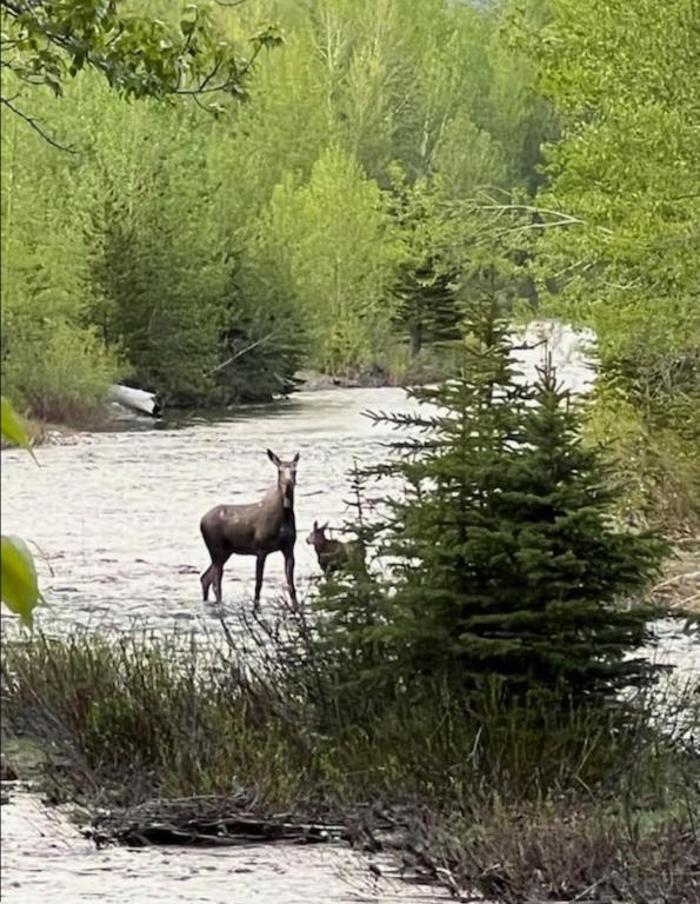 Glacier Grizzly Resort - Browning, MT
