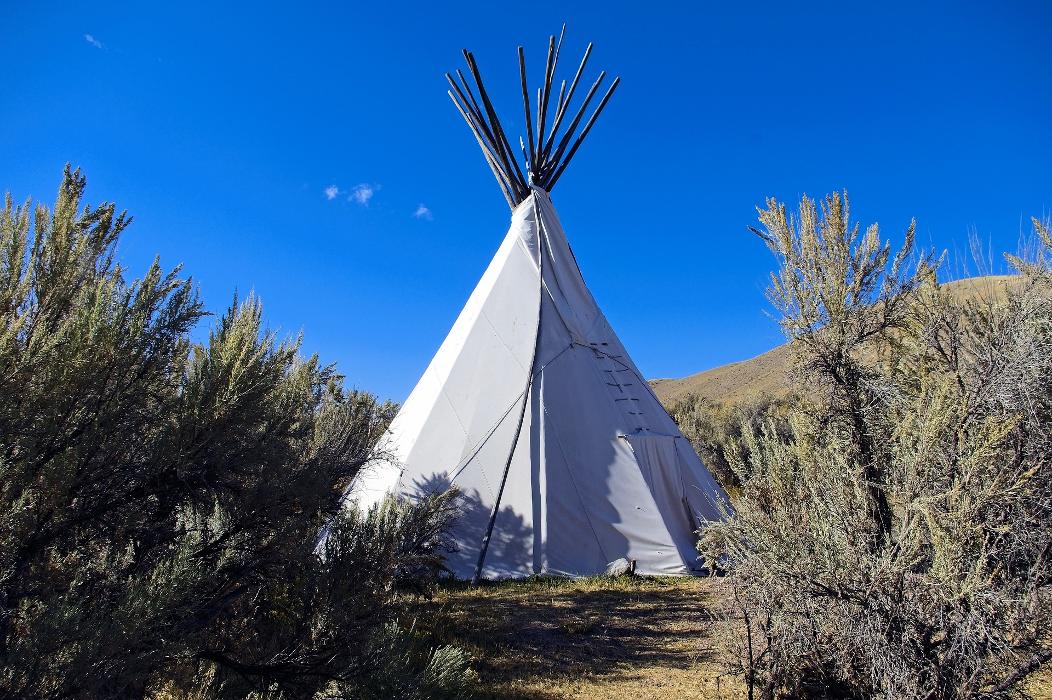 Glacier Grizzly Resort - Browning, MT