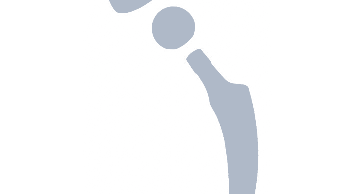 ENDOPROTHETICUM Rhein-Main / Prof. Dr. med. Karl Philipp Kutzner, An der Fahrt in Mainz