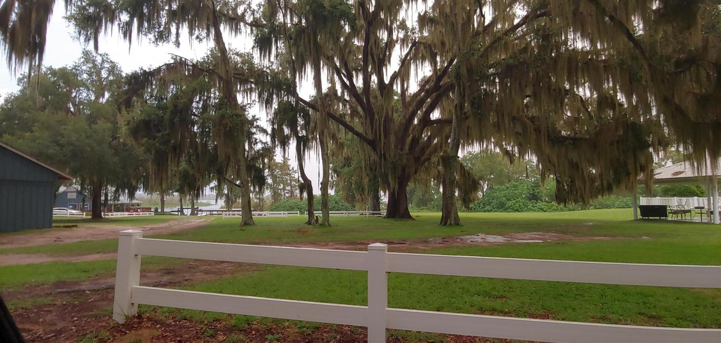 MSK Timber LLC - O Brien, FL