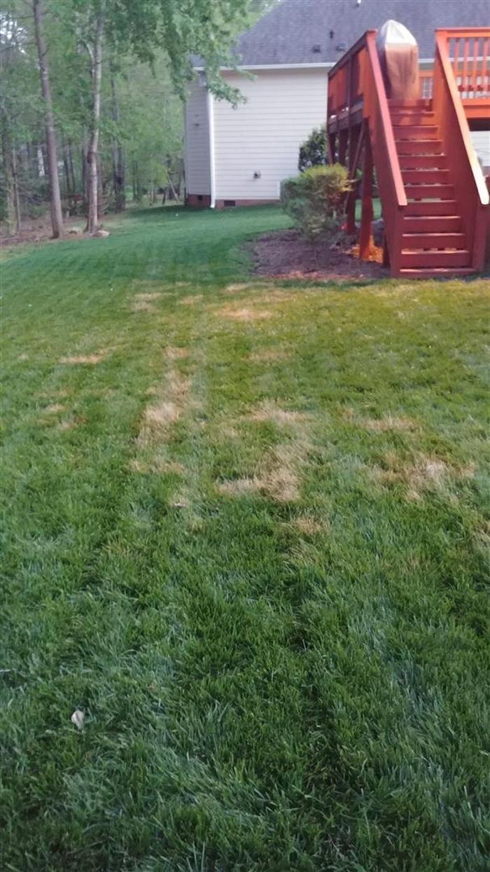 MSK Timber LLC - O Brien, FL