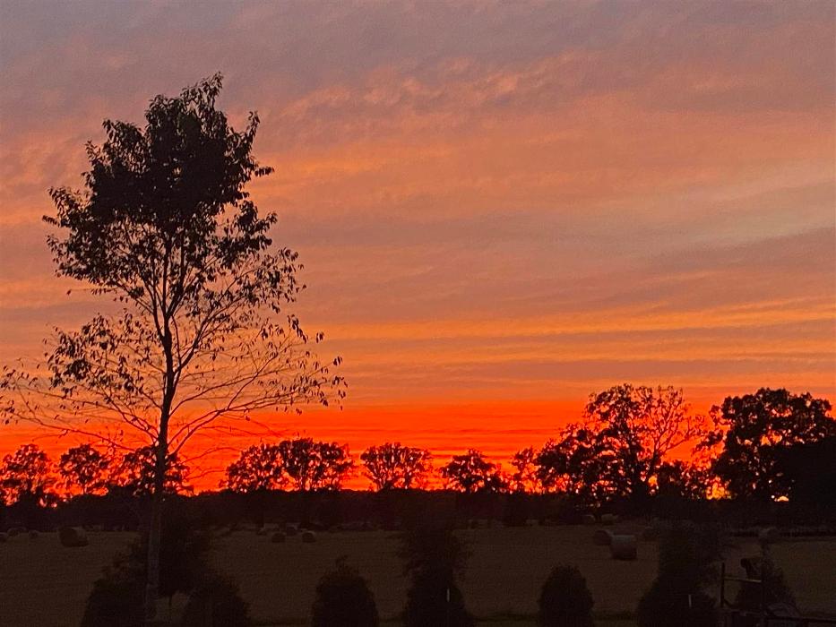 MSK Timber LLC - O Brien, FL