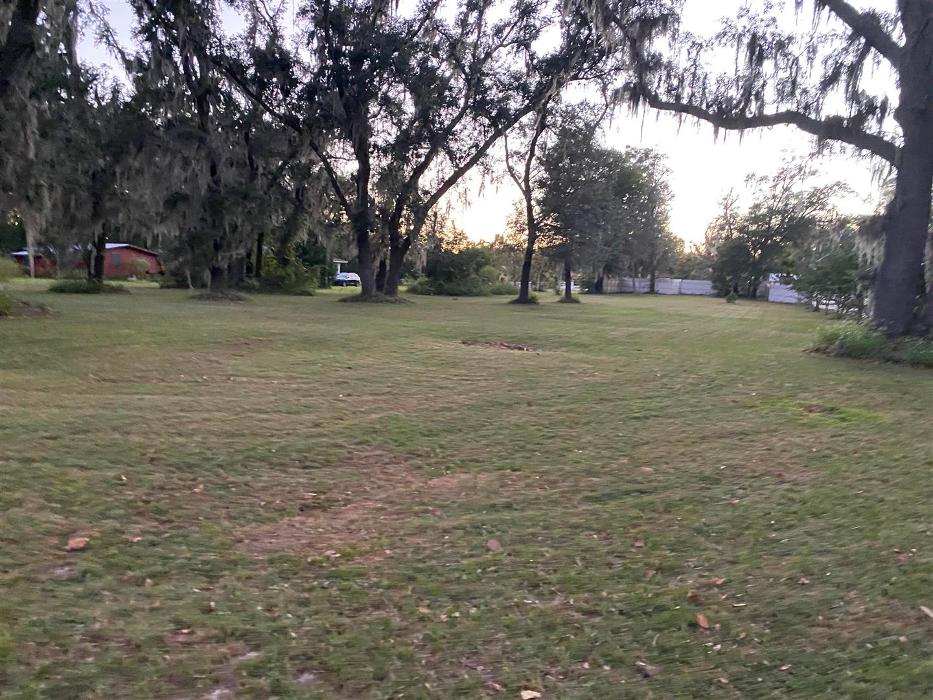 MSK Timber LLC - O Brien, FL