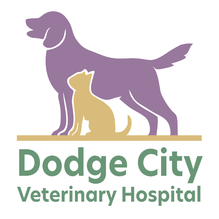 Dodge City Veterinary Hospital, A Thrive Pet Healthcare Partner, 102