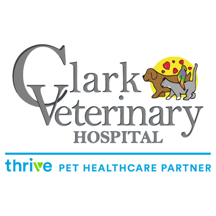 Clark Veterinary Hospital