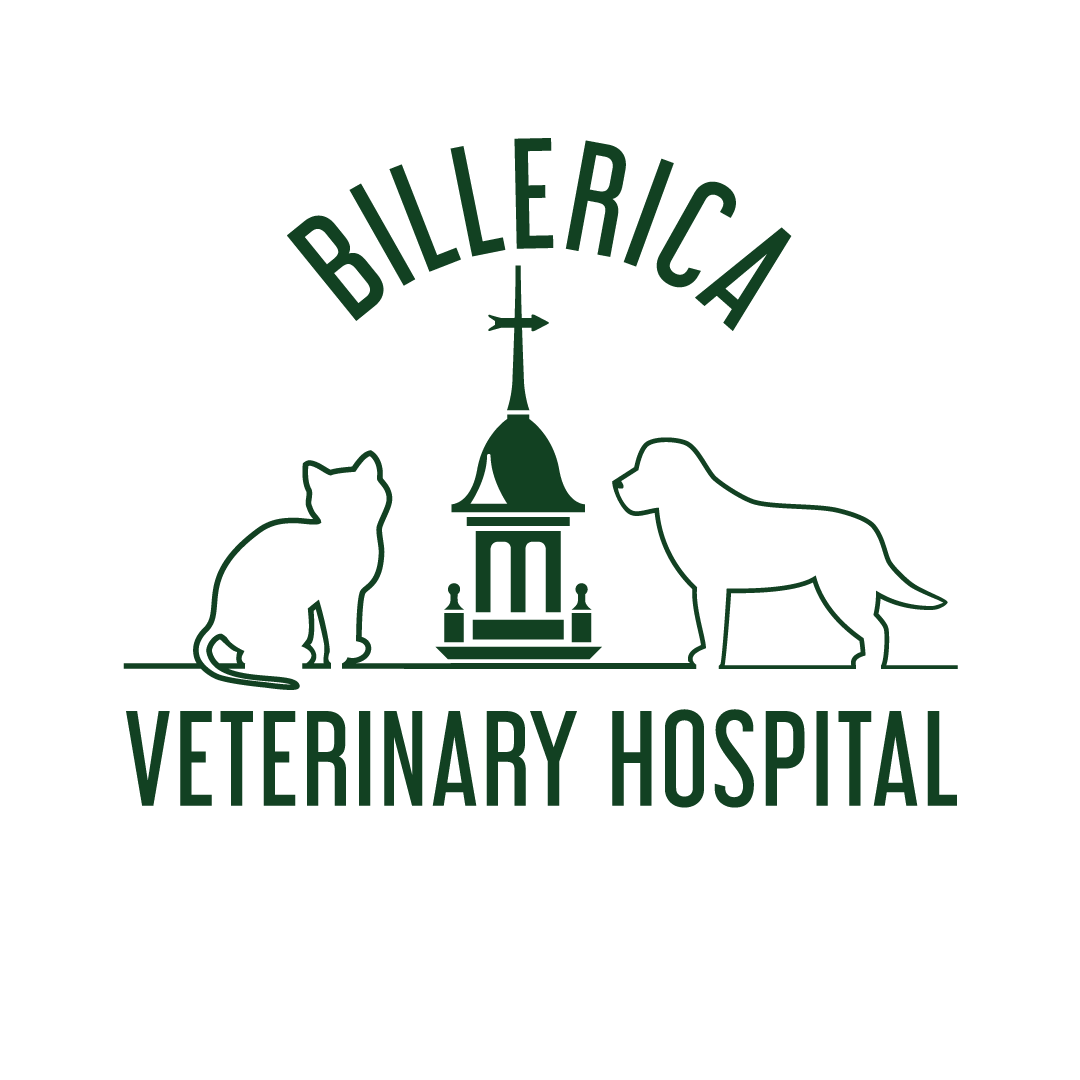 Billerica Veterinary Hospital, A Thrive Pet Healthcare Partner