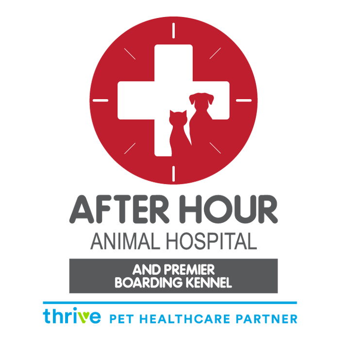After Hour Animal Hospital