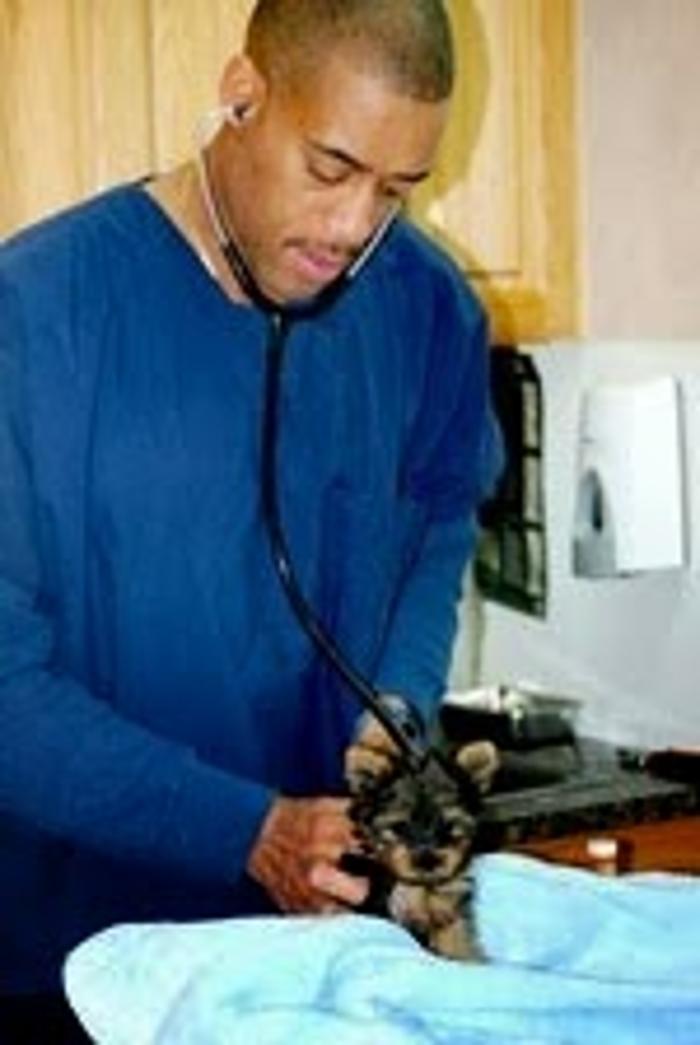 Yonkers Animal Hospital - Yonkers, NY