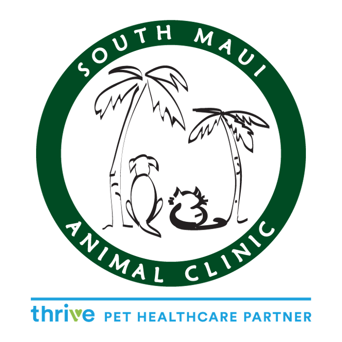 South Maui Animal Clinic