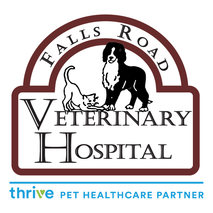 Falls Road Veterinary Hospital, A Thrive Pet Healthcare Partner