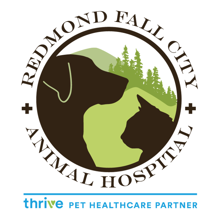 Redmond-Fall City Animal Hospital, A Thrive Pet Healthcare Partner